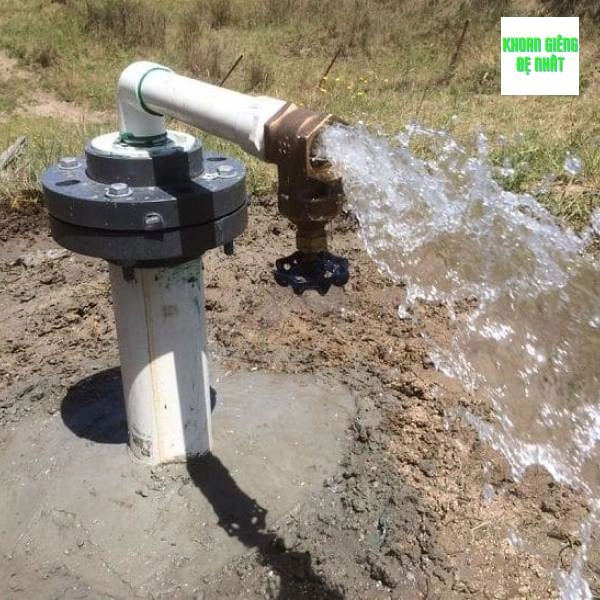 Hướng dẫn cách nhận biết đất có mạch nước ngầm