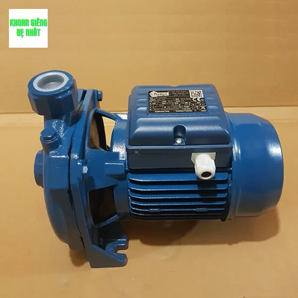 Máy bơm nước giếng khoan có động cơ điện